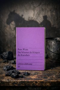 Der Schatten des Körpers des Kutschers